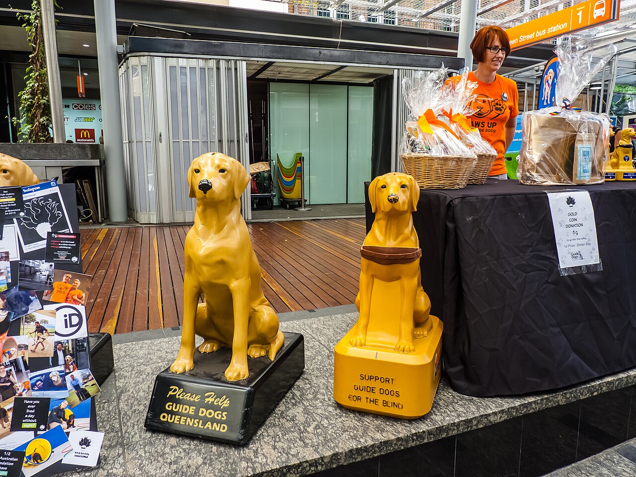 Guide Dogs Queensland community display in Queen Street Mall, Brisbane
