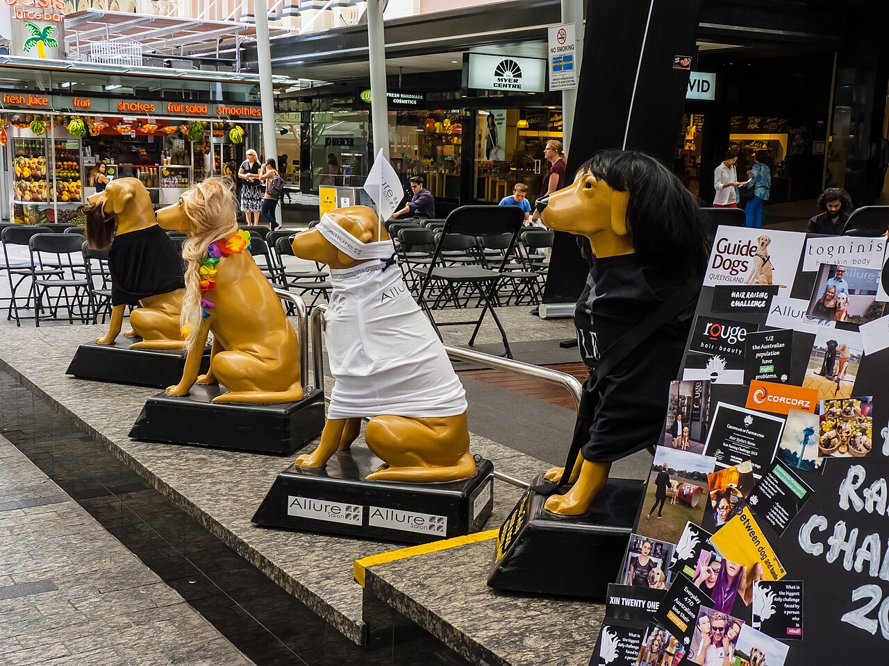 Guide Dogs Queensland fundraising display in Queen Street Mall Brisbane