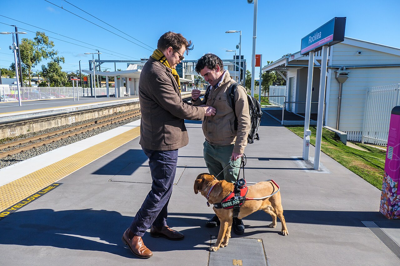 Guide dog and handler on Platform 1 at Rocklea Railway Station in Queensland