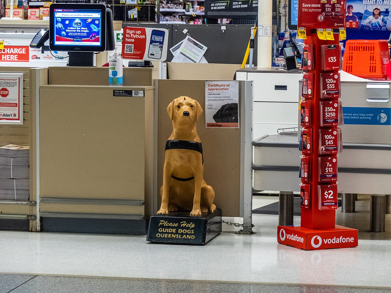 Guide Dogs Queensland dog at Westfield Chermside